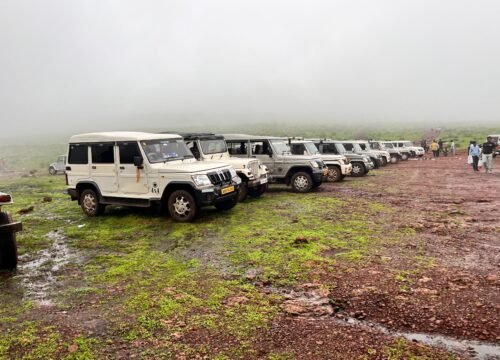 Reliable Rental Car Services